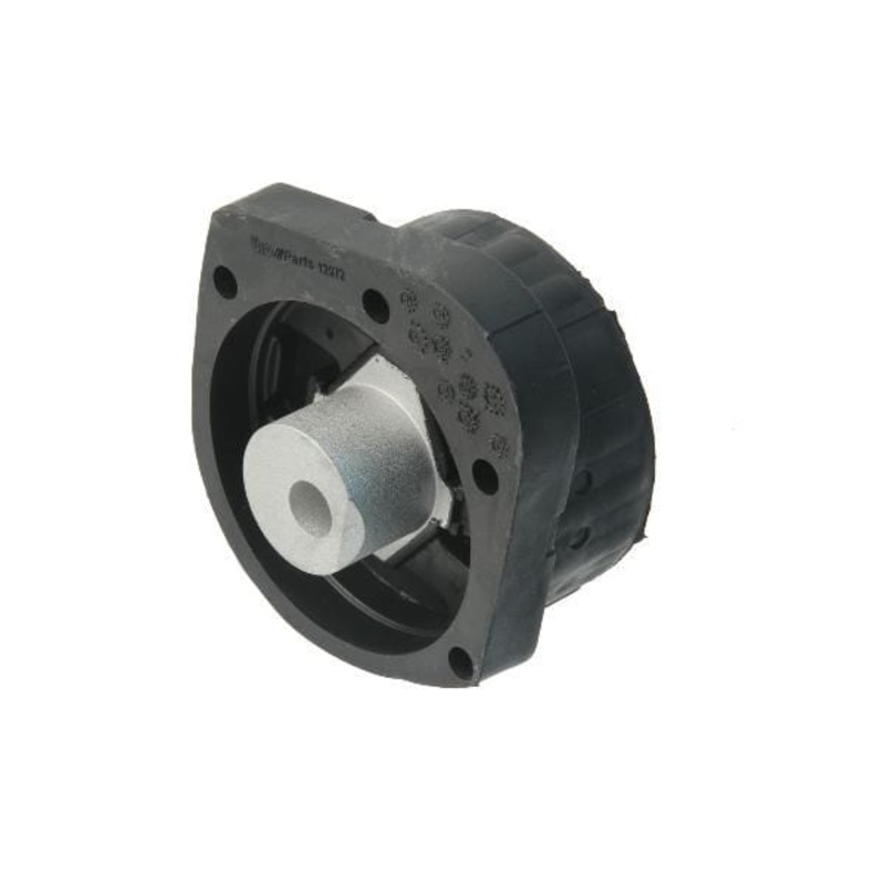 Transfer Case Mount