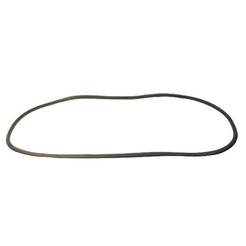 Windshield Seal