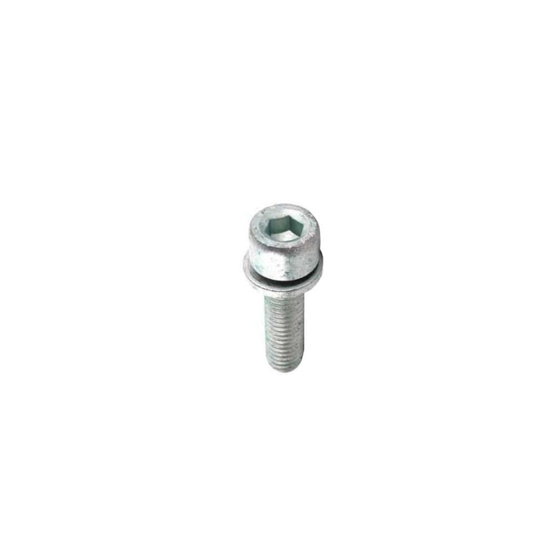Allen Head Bolt (M8x30) – VW/Audi