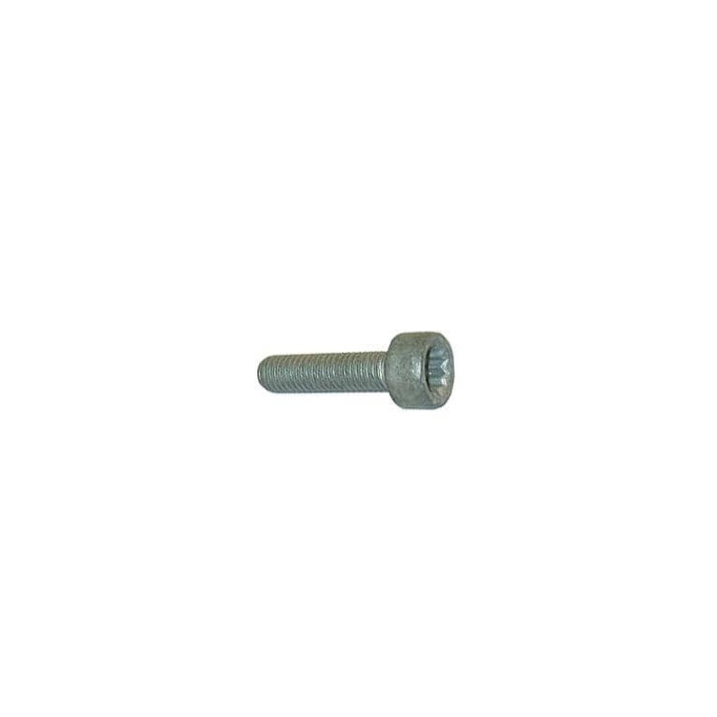 12 Point Torx Bolt (M8x32) – VW/Audi