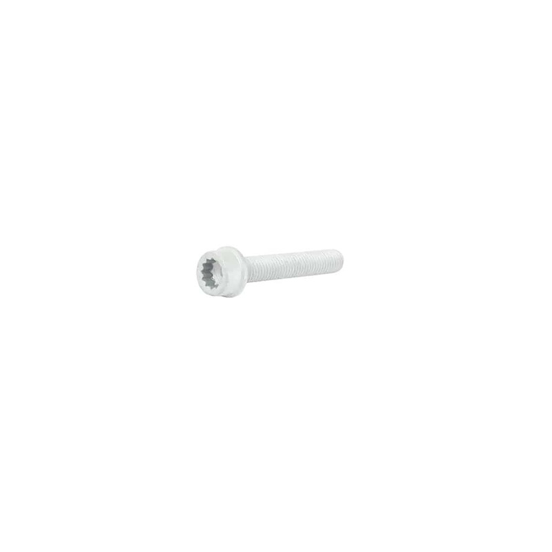 12 Point Socket Bolt (M10x60) – VW/Audi