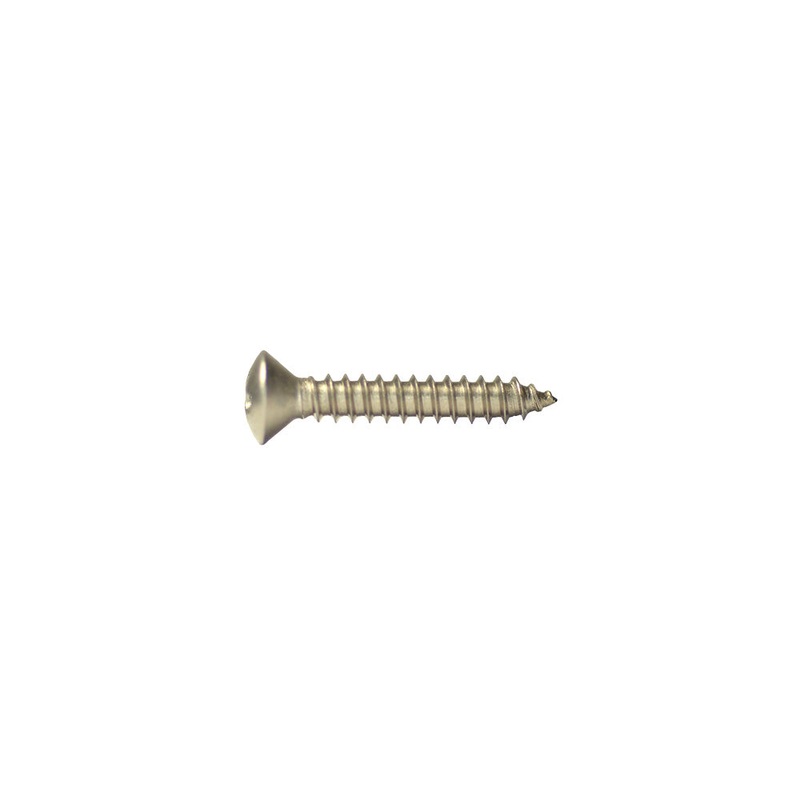 2.2×13 Stainless Oval Phillips Metric Screw 25 Pieces