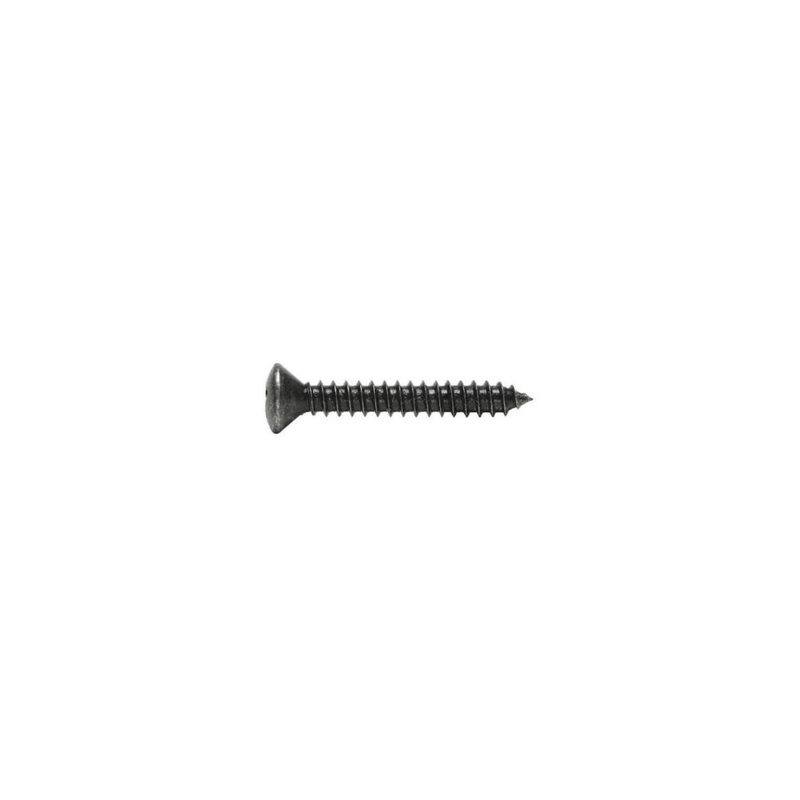 2.9×16 BZ Oval Phillips Metric Screw 25 Pieces